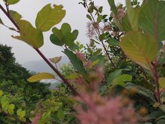 -香山公园