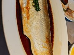 清蒸白水鱼-醉庐·新上海菜(南京西路店)