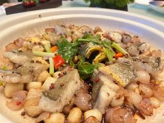 -海宁铂尔曼酒店紫荆中餐厅