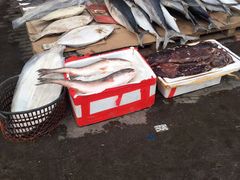 -盛华世家商业广场农贸水产综合批发市场