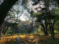 -长春市南湖公园