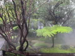 -Chom Cafe and Restaurant