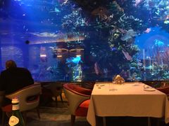 -迪拜帆船酒店海底餐厅