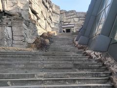 -辽宁古生物博物馆