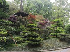 -南山植物园