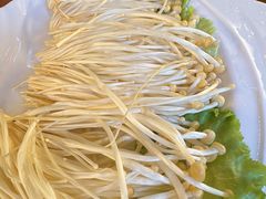 -老版火锅.12年西安排队王(沣峪口店)