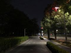 -金粿粿·牛肉粿