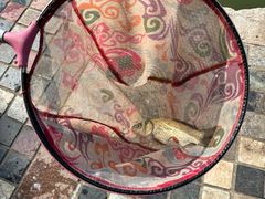 -酷鱼垂钓CLUB(朝阳区博大路店 )