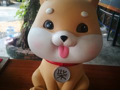 景观位-柴犬高等学院·狗咖·柴犬售卖·宠物训练