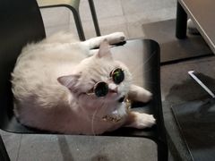 -gaga(深圳福田星河COCO Park店)