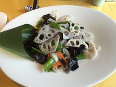 -素虎小呆鸟(西二旗店)