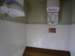 -金山农民画村-枫泾波兰倒置屋