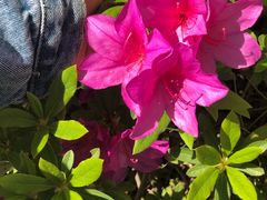 -杰仕健身百合天地会所(海宁百合新城店)