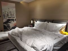 -新加坡瑞士史丹福酒店