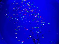 -华夏文旅西安度假区