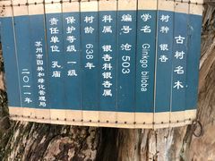 -苏州文庙(姑苏区)