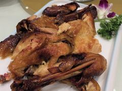 -凯鸽酒楼(大同振兴街店)