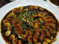 -东康桂家农庄