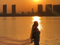 -瑶湖郊野森林公园