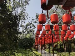 -清明上河园