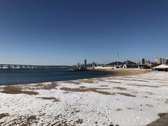-星海湾跨海大桥