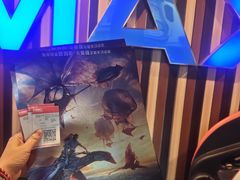 -华谊兄弟影院(IMAX洋桥店)