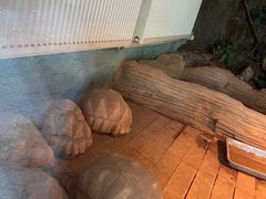 -宁波野生动物园