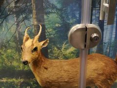 -下渚湖国家湿地公园科普馆