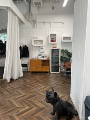 -青漾 young hair studio