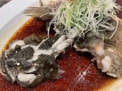 -喜来登由由大酒店九州膳坊中餐厅