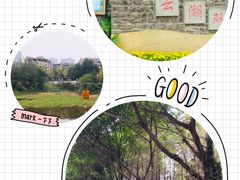 -重庆彩云湖湿地公园