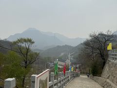 -大岭沟猕猴桃谷风景区