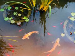-聚缘堂·海鲜私房菜(松岭路店)