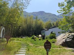 -明月山风景名胜区