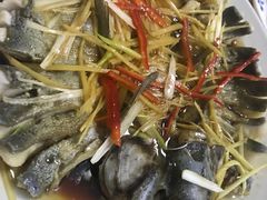 -煲来饱去冷水鱼