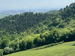 -敬亭山风景名胜区