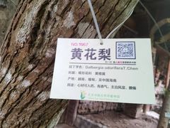 -呀路古热带植物园