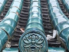 -武汉大学-樱园