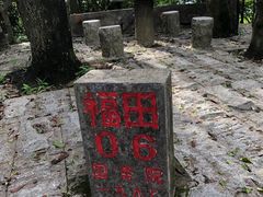 -四季美蚝皇