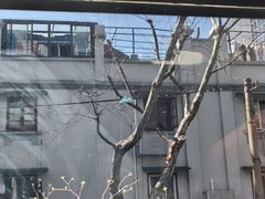 -Onirii Coffee(长乐路店)