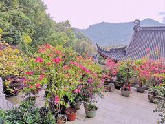 -杭州上天竺法喜讲寺