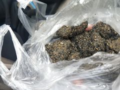 -叶氏麻糍(鼓浪屿店)
