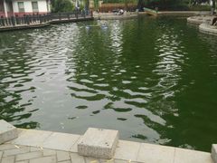 -丰台花园