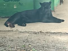 -昆明动物园