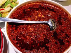 水煮牛肉-巴蜀风月·聚会团建·生日宴(宝安店)