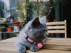 -Home Cafe(水榭春天店)