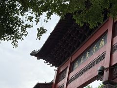 -顺卿庭·广东顺德菜(夫子庙水游城店)