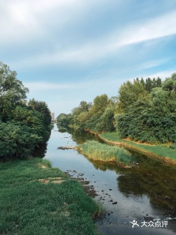 #点评有礼#就是喜欢你       好像真的提前过上
