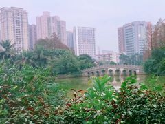 -四海公园(南山区)