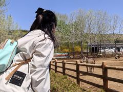 -大连森林动物园